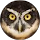 Alicia Googins profile picture