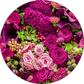 Purplebiz Marketing, LLC - Columbia, South Carolina
