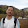 Prakash Shrestha's profile photo