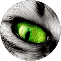 Avatar de Stanislas.o