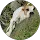 Community member