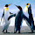 eliz.wi...@btinternet.com's profile photo