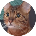 User profile - Hirata Takumi.