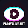 Paypaylive net