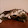 gre...@obbligato.org's profile photo