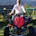tandat nguyen's profile photo