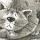 Petro Scherbyna's profile photo