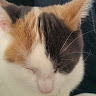 Photo of Gabrielle Thibert