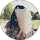 Community member