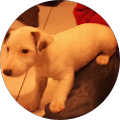 Avatar de Simon.