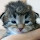 Gayathri's profile photo