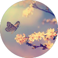 Avatar de Julie.h