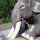 gayatri vijaykumar's profile photo