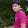 gaurav....@gmail.com's profile photo