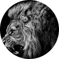 Avatar de BastienC.