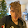Felix Stahlberg's profile photo