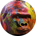 Avatar de Sebastien.a