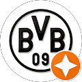 BVB BVB