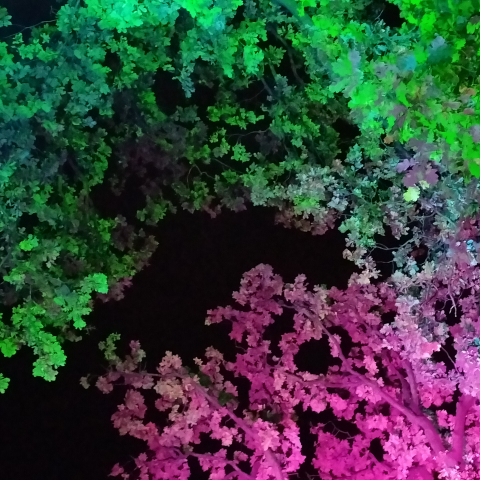 Modefrisur Rostock GmbH - Studio R