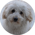 Avatar de pepette.