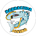 Barracuda Diving