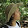 Vanessa Luiz's profile photo