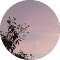 Avatar de Sophie.