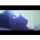 neos...@gmail.com's profile photo