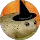 Community member