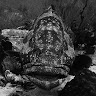 Photo of Jules Vision