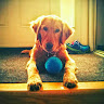 Photo of Matan A