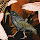 Myshkin Warbler's profile photo