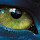 floll...@gmail.com's profile photo