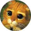 Avatar de lala.