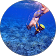 ALV UjVfdaBcgc eMz48DlqC3Y5pKXF1 qFf tfJsOM4fvreS3UuhVZR=s56 c rp mo br100