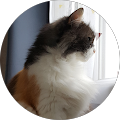 Avatar de Gaëlle.A