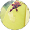 Rui Rui