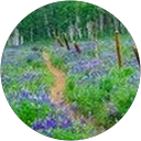 Rachel Creed's profile image