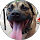 freddi 1m profile picture