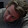 joey's profile photo
