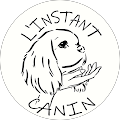 L'instant canin