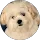 Community member