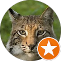 Camping Endler - Sebnitz