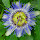 toad...@gmail.com's profile photo