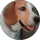 RaspuXin profile picture