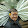 Trung Pham's profile photo