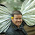 Trung Pham's profile photo