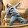 NorthIsUp's profile photo