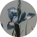 Avatar de Iris.a