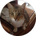 Avatar de Françoise.E